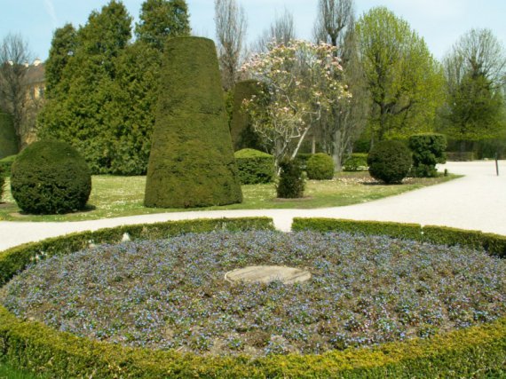 PICT8103.JPG
