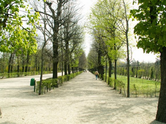 PICT8110.JPG