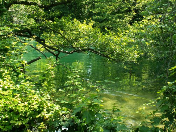 krka príroda