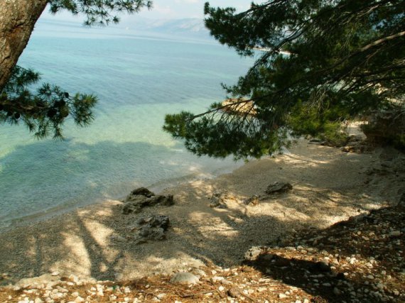 Zátišie